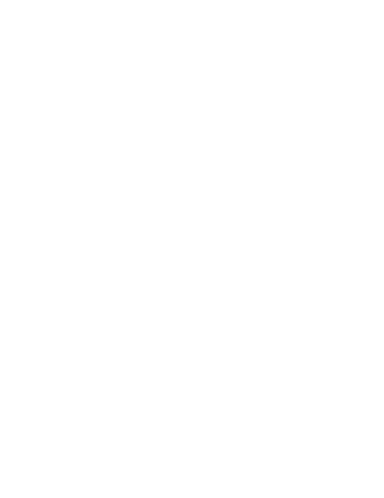 LIT Media Group