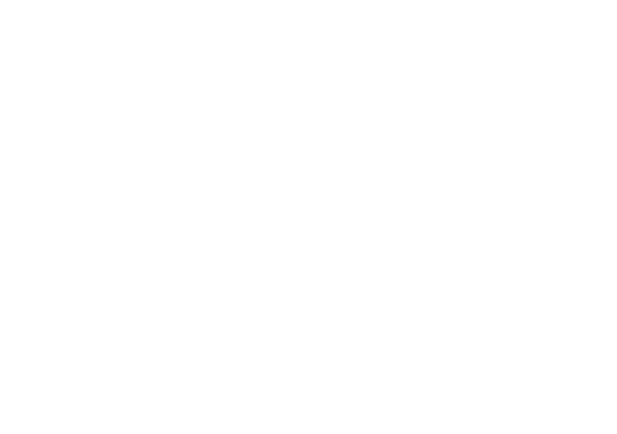LIT TLP